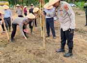 Polres Way Kanan Luncurkan Penanaman Jagung Serentak 1 Juta Hektar